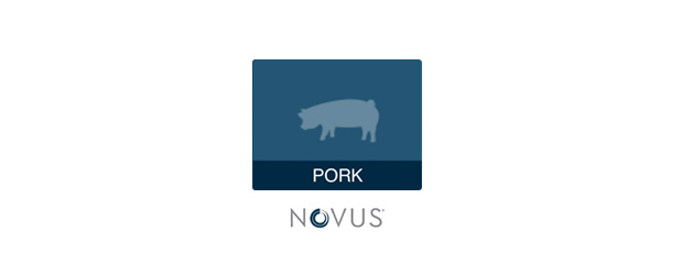 novus-potencial-genetico-porcino