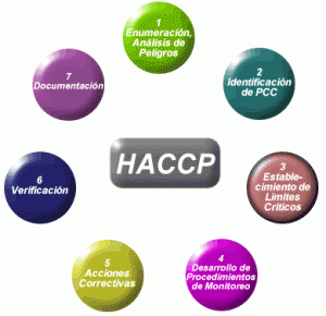 7 principios de haccp