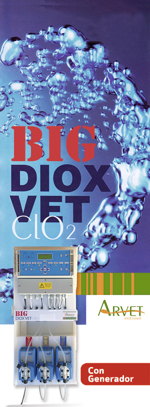 big-dioxvet