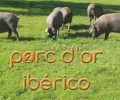 Porc d'Or Ibérico