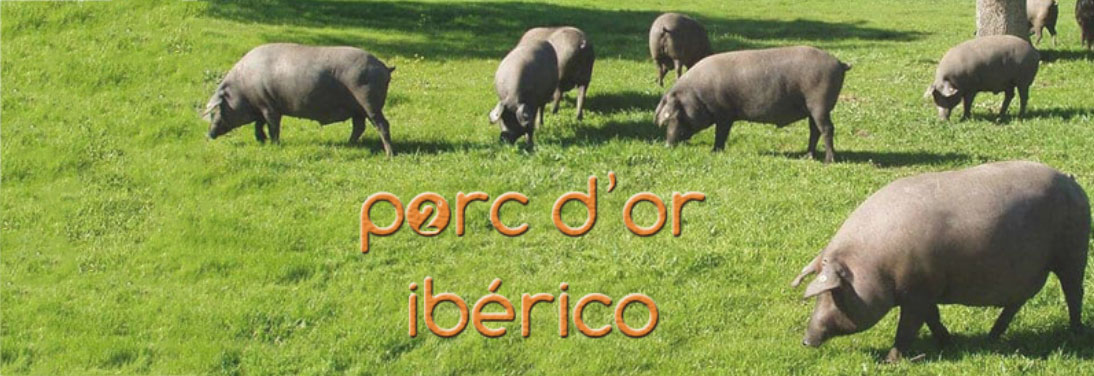 Porc d'Or Ibérico