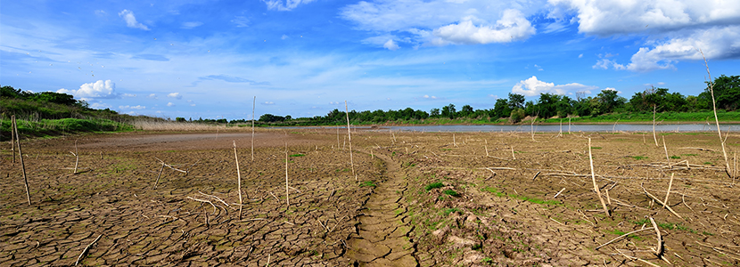 cambio climático