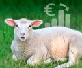 costes de producción de corderos